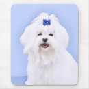 Suche nach maltesisch mousepads Niedlich