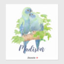 Suche nach niedlicher papagei aufkleber Aquarell