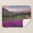 Suche nach sonnenaufgang decken Morgengrauen