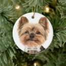 Suche nach yorkie ornamente Foto