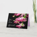 Suche nach jemand speziell karten Weihnachten