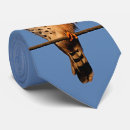 Suche nach kleine vögel krawatten Natur