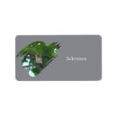 Suche nach eule im baum Wald