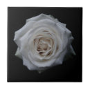 Suche nach einzeln fliesen Blume