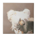 Suche nach brauner hund fliesen Welpe