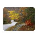 Suche nach straßen magnete Usa