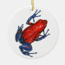 Suche nach tropischer regenwald ornamente Frosch