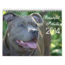 Suche nach pitbulls kalender Hund