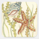 Suche nach muschel aufkleber Sternfisch