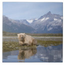 Suche nach braunbär fliesen Usa