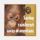Suche nach erhaltung magnete Orang utan