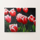 Suche nach rote tulpen puzzle Quelle