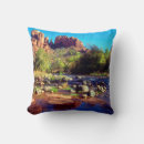 Suche nach der felsen kissen Arizona