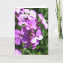 Suche nach lila wildblumen karten Wilde blume