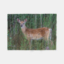 Suche nach odocoileus Wald
