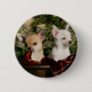 Suche nach pam buttons Bob und pam langrish