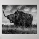 Suche nach monotone poster Landschaft