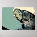 Suche nach mahi poster Fisch