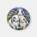 Suche nach little magnete Hase