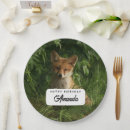 Suche nach fuchs teller Tierwelt