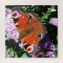 Suche nach peacock puzzle Bunt