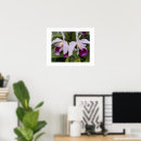 Suche nach cattleya poster Blüten