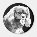 Suche nach schwarzer hund magnete Spaniel