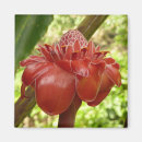 Suche nach flower quadratische magnete Natur
