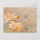 Suche nach trocken postkarten Herbst