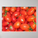 Suche nach rote tomate poster Ernte