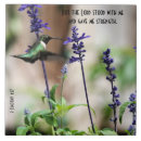 Suche nach w fliesen Natur