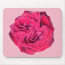 Suche nach rote rosen mousepads Liebe