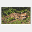 Suche nach gepunktete katze aufkleber Kätzchen