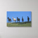 Suche nach araber leinwandbilder Gruppe