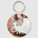 Suche nach miezekatze accessoires Niedlich