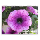 Suche nach botanisch kalender Natur