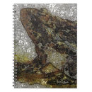 Suche nach frida kahlo de rivera kleine notizbücher Y calderon