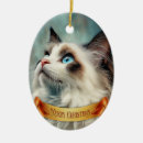 Suche nach ragdoll katze weihnachtsschmuck Kätzchen