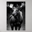 Suche nach moose poster Portrait