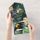 Suche nach frangipani einladungen Dschungel