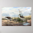 Suche nach australia kunst Landscape