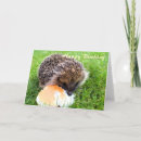 Suche nach hedgehogs karten Animals