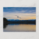 Suche nach friedliche landschaft postkarten Himmel