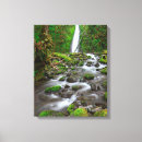 Suche nach moos leinwandbilder Wasserfall