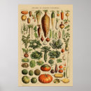 Suche nach französisches botanisches poster Vintag