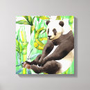Suche nach panda leinwandbilder Bamboo