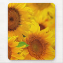 Suche nach garten mit sonnenblumen mousepads Natur
