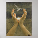 Suche nach vogel strauß poster Fotografie