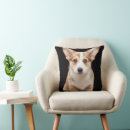 Suche nach corgi kissen Haustier