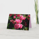 Suche nach rosenkarten karten Liebe